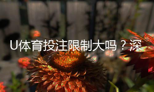 U体育投注限制大吗？深度解析平台规则与玩家体验