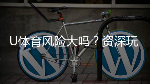 U体育风险大吗？资深玩家解析平台安全性与投注技巧