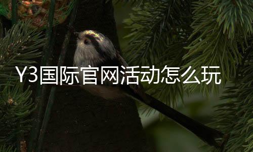 Y3国际官网活动怎么玩？新手必看参与规则、优惠领取与注意事项
