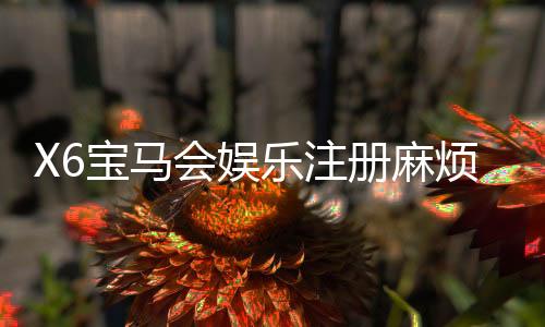 X6宝马会娱乐注册麻烦吗？3分钟快速注册攻略分享