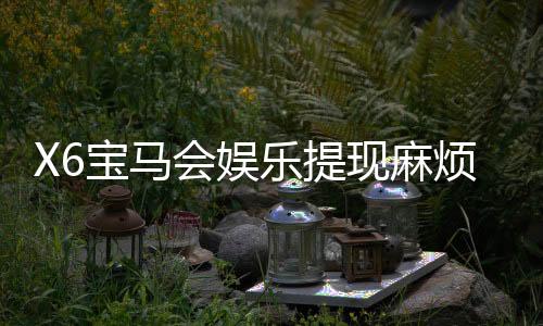 X6宝马会娱乐提现麻烦吗？资深玩家分享快速到账技巧
