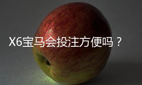 X6宝马会投注方便吗?资深玩家亲测存取款与游戏体验
