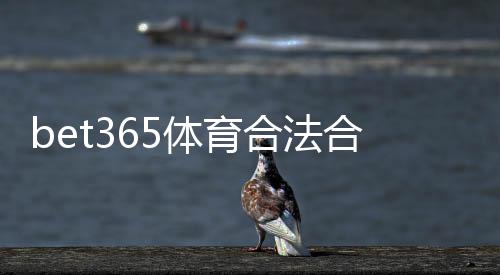 bet365体育合法合规吗?新手必读:各国监管与风险解析