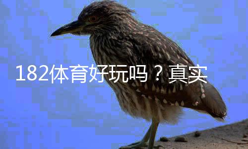 182体育好玩吗?真实试玩评测+玩法亮点与风险解析