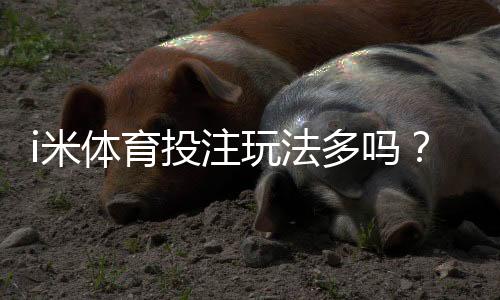 i米体育投注玩法多吗？资深玩家揭秘五大特色游戏体验